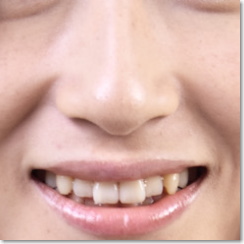 �ڂ����Ȃ��ŕ@�������������悤�ɂ���