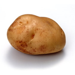 �l���W���K�C����J�{�`�����Ǝv���悤�ɂ���